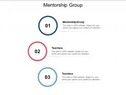 Mentorship group ppt powerpoint presentation slides example file cpb
