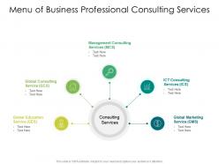 Menu of business professional consulting services