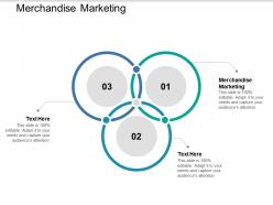 Merchandise marketing ppt powerpoint presentation styles information cpb