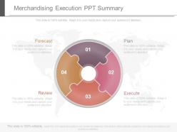 Merchandising execution ppt summary