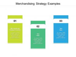Merchandising strategy examples ppt powerpoint presentation layouts slide portrait cpb