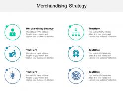 Merchandising strategy ppt powerpoint presentation professional ideas cpb