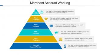 Merchant Account Working Ppt Powerpoint Presentation Infographic Template Cpb