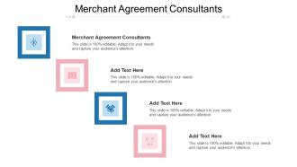 Merchant Agreement Consultants Ppt Powerpoint Presentation Styles Portrait Cpb