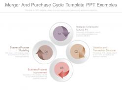 Merger And Purchase Cycle Template Ppt Examples