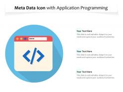 Meta data icon with application programming