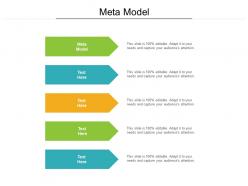 Meta model ppt powerpoint presentation portfolio background cpb