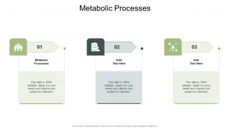 Metabolic Processes In Powerpoint And Google Slides Cpb