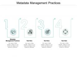 Metadata management practices ppt powerpoint presentation layouts clipart cpb