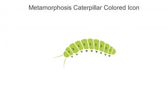 Metamorphosis Caterpillar Colored Icon In Powerpoint Pptx Png And Editable Eps Format