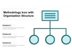 Methodology icon with organization structure