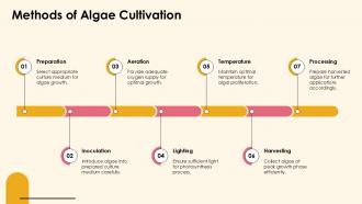 Methods Of Algae Cultivation Protozoa PPT Information ACP