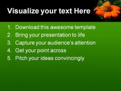 Mexican sunflower beauty powerpoint templates and powerpoint backgrounds 0311