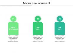 Micro environment ppt powerpoint presentation pictures graphics tutorials cpb