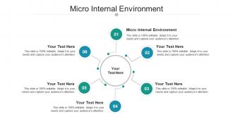 Micro internal environment ppt powerpoint presentation slides gridlines cpb