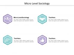Micro level sociology ppt powerpoint presentation pictures graphics cpb