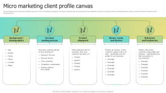 Micro Marketing Client Profile Canvas Selecting Target Markets And Target Market Strategies