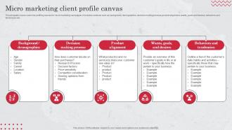 Micro Marketing Client Profile Canvas Target Market Definition Examples Strategies And Analysis