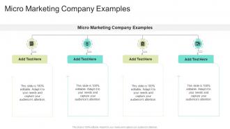 Micro Marketing Company Examples In Powerpoint And Google Slides Cpb