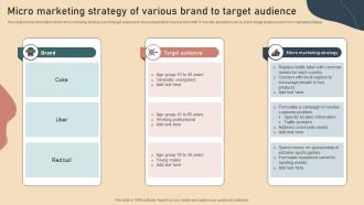 Micro Marketing Strategy Of Various Brand To Target Audience