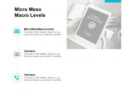 Micro meso macro levels ppt powerpoint presentation pictures maker cpb