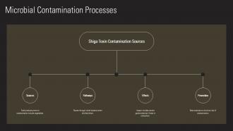 Microbial Contamination Processes Shiga Toxin PPT Example ST AI SS