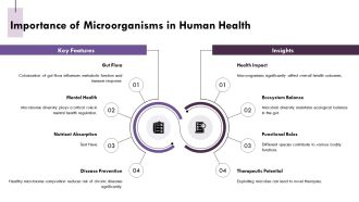 Microbiome Microorganisms In The Human Body PPT Example AT Pre designed Ideas