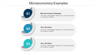 Microeconomics examples ppt powerpoint presentation inspiration vector cpb
