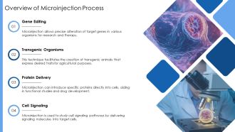 Microinjection Cell Biology Explained PPT Demonstration AT Appealing Captivating