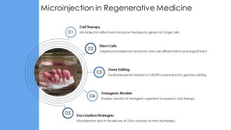 Microinjection Cell Biology Explained PPT Demonstration AT Images Aesthatic