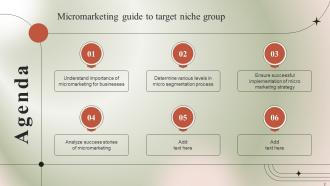 Micromarketing Guide To Target Niche Group powerpoint Presentation Slides MKT CD Good Ideas