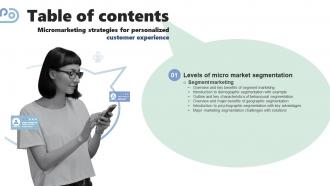 Micromarketing Strategies For Personalized Customer Experience Table Of Contents MKT SS V