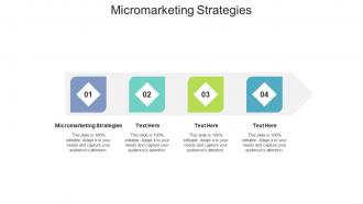 Micromarketing strategies ppt powerpoint presentation infographics show cpb