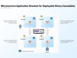 Microservices Application Structure For Deployable Binary Executables
