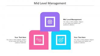 Mid Level Management Ppt Powerpoint Presentation Inspiration Layout Ideas Cpb