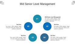 Mid senior level management ppt powerpoint presentation infographic template visuals cpb