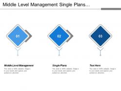 Middle level management single plans relatively specific