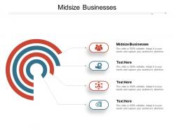 Midsize businesses ppt powerpoint presentation ideas graphics download cpb