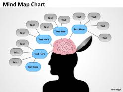 Mind map chart elevation