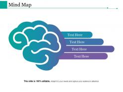 Mind Map Ppt Styles Guide