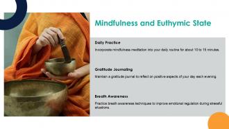 Mindfulness And Euthymic State Mood Euthymic PPT Structure ACP