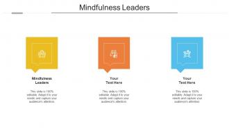 Mindfulness leaders ppt powerpoint presentation ideas cpb