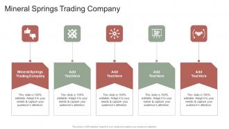 Mineral Springs Trading Company In Powerpoint And Google Slides Cpb