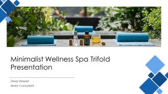 Minimalist Wellness Spa Trifold Presentation PPT PowerPoint AT