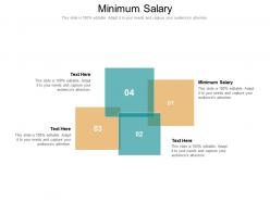 Minimum salary ppt powerpoint presentation outline icon cpb