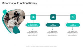 Minor Calyx Function Kidney In Powerpoint And Google Slides Cpb