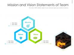 Mission and vision statements of team