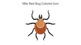 Mite Bed Bug Colored Icon In Powerpoint Pptx Png And Editable Eps Format