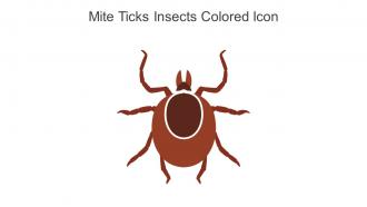 Mite Ticks Insects Colored Icon In Powerpoint Pptx Png And Editable Eps Format