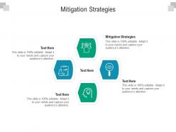 Mitigation strategies ppt powerpoint presentation infographics images cpb